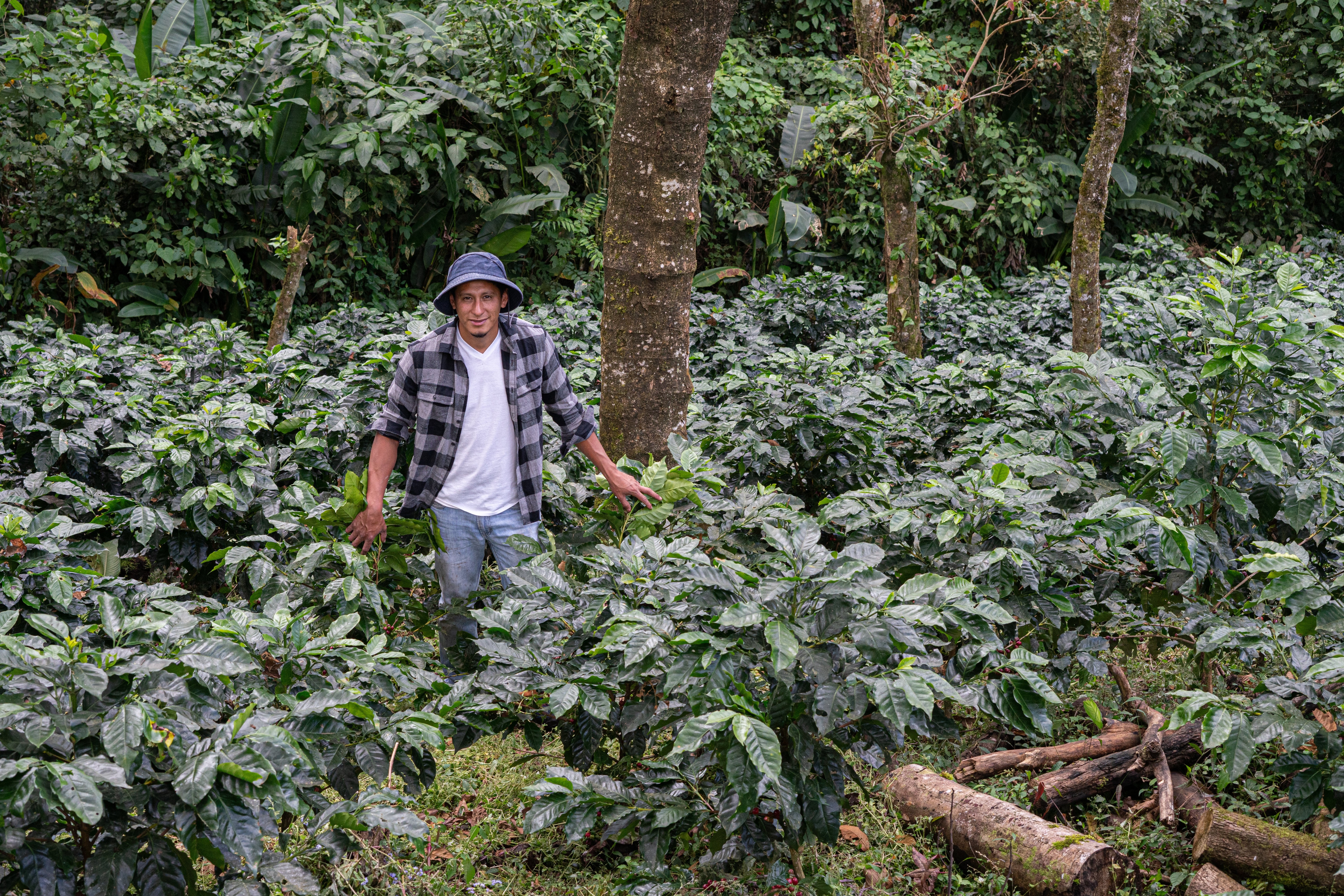 agro emprendedurismo